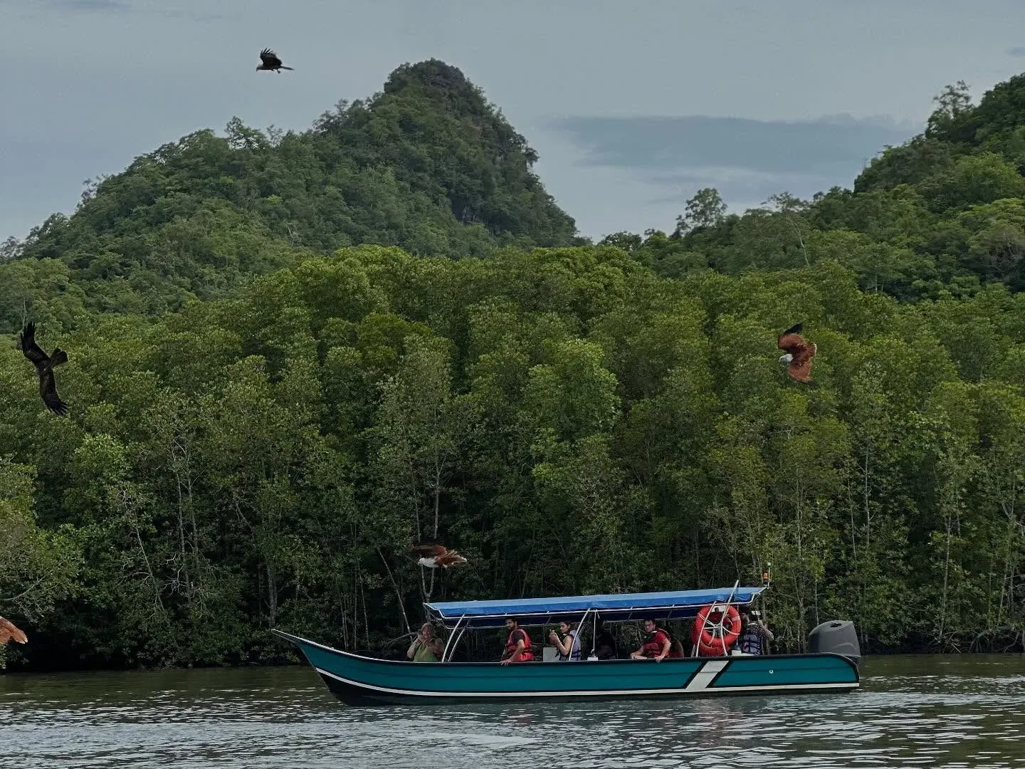 A small boat on the water below green hills, Langkawi