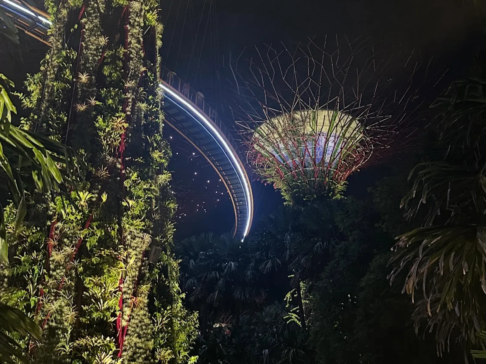 Glowing Supertrees at Gardens by the Bay at night